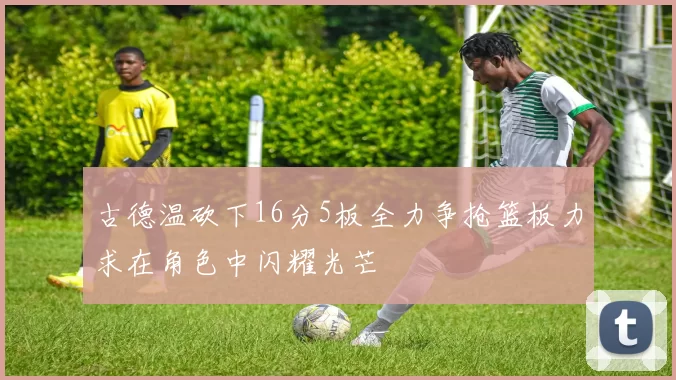古德温砍下16分5板全力争抢篮板力求在角色中闪耀光芒